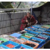 重庆87岁老人捐出20万积蓄 是她卖针线30年攒下的“分分钱”