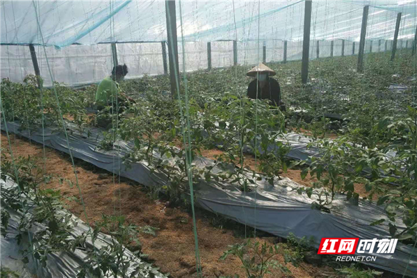 微信图片_20200210134831.jpg