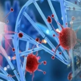 国家卫健委：新增确诊病例2478例，累计42638例