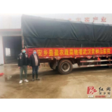 安乡再捐2万斤新鲜优质蔬菜驰援武汉
