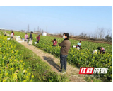 南县青树嘴镇：战“疫”保障两不误 着实护好“菜篮子”