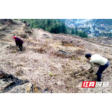 绥宁麻塘乡抗疫备耕两不误两推进