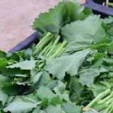 本地农企送蔬菜  战“疫”路上有真情