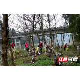 隆回荷香桥镇：清洁河道“梳妆打扮”见绿水