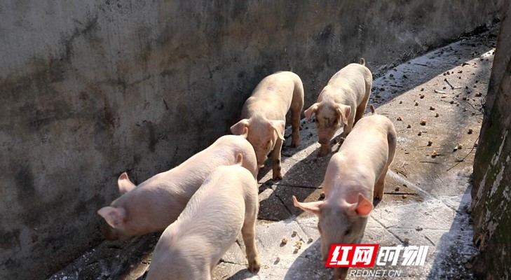 微信图片_20200211152040_副本 - 副本.jpg