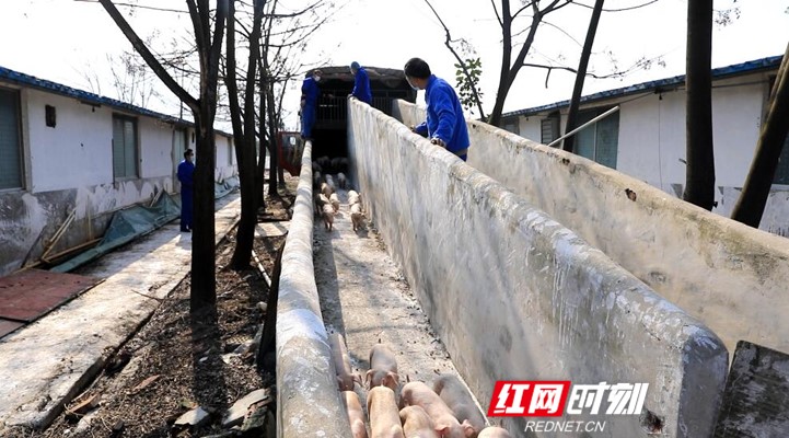 微信图片_20200211152043_副本.jpg