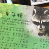 儿童读物出现果子狸不当表述 出版社：已通知全面下架