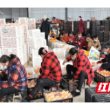 新宁县黄龙镇多措并举推动复工复产