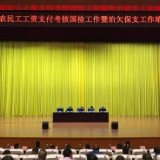 望城区召开迎保障农民工工资支付考核国检工作暨治欠保支工作培训会议