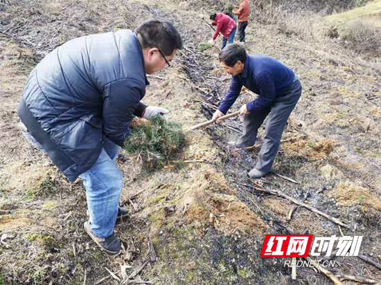 微信图片_20200211164233_副本.jpg
