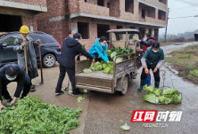 脱贫户莫景崇：捐赠蔬菜抗疫情 回报社会谢党恩