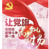 党旗飘扬在一线|“逆行”回村 他们让党旗更红