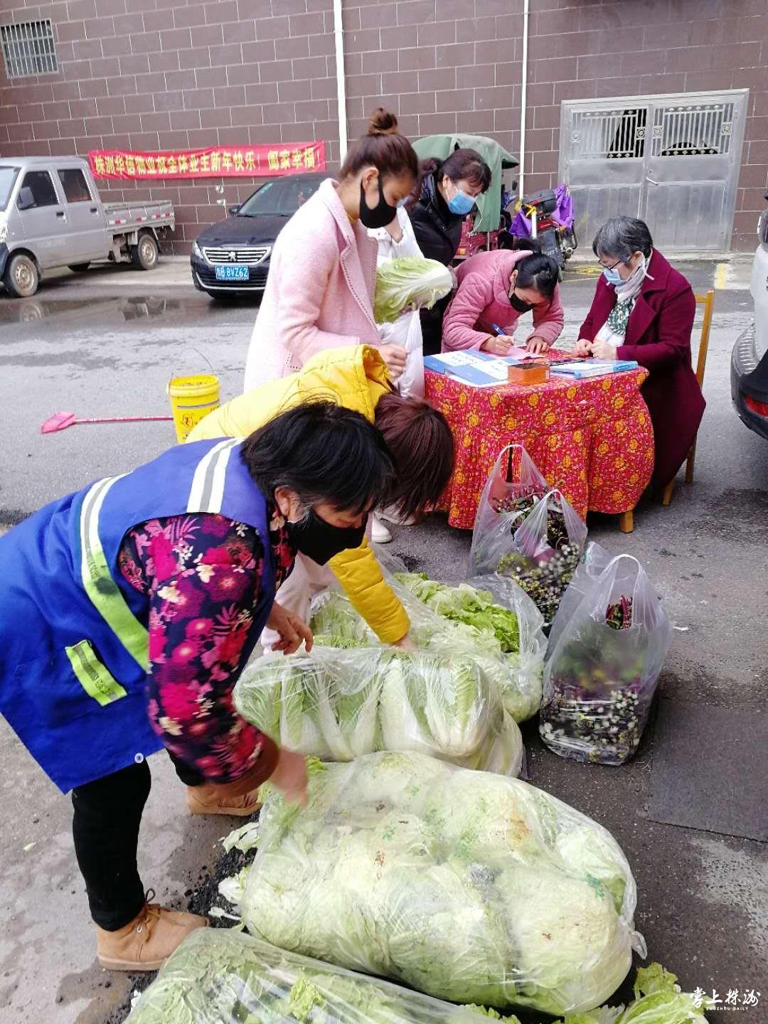 领菜.jpg