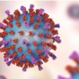 贵州新增确诊病例2例，累计135例