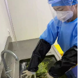 面对沾满病毒的医疗器械，这群护士也是拼了