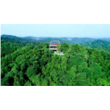 向逆行者致敬！中国桃花源景区对全国医护工作者免票