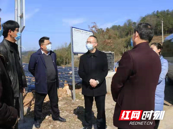 朱法栋调研莓茶产业复工复产和疫情防控工作