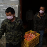 回龙圩马鹿头：心系贫困户 抗疫、扶贫两不误