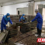 零陵：防疫复工两不误 严防严控战疫情