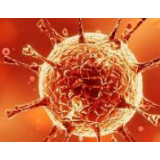 新冠肺炎与病毒为何分开命名?背后有这些讲究