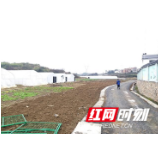 抗击疫情，田野里的守望者