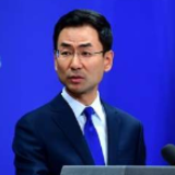 多国青少年自发支持中国抗疫，外交部：由衷感谢