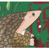 一只穿山甲的自白