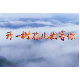 原创MV | 开一树花儿我等你