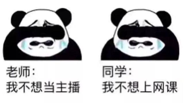 e61190ef76c6a7ef350c78c685f89b57f3de6635.jpeg
