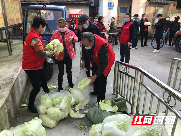 111111111_副本.jpg