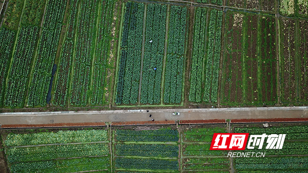 ????_20200213193448.jpg ????_20200213193448.jpg