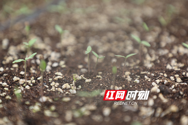 ????_20200213192127.jpg ????_20200213192127.jpg