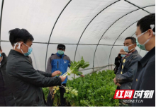 保供在岳阳|专家来支招 抗疫保 “菜篮子”