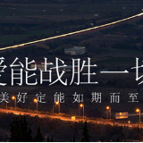 金浩茶油：为你料理万千心意