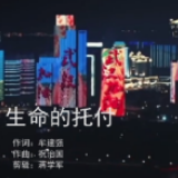 致“疫”线奋战的你！南县原创抗疫MV《生命的托付》