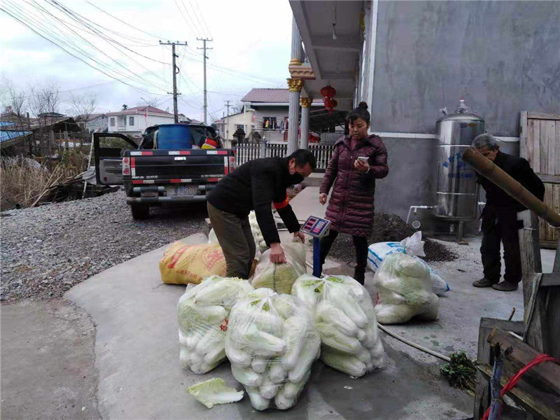 ??? (1).jpg ??? (1).jpg