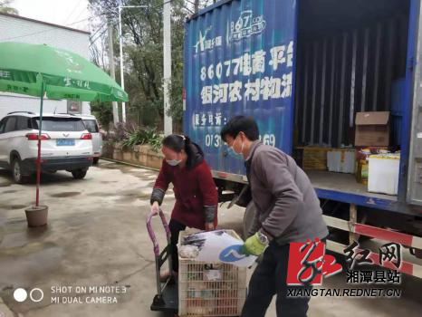 图片2.jpg 图片2.jpg