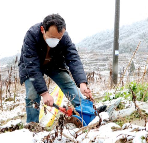 龙山县茅坪乡有个热心“骆七啵” 默默奉献光和热