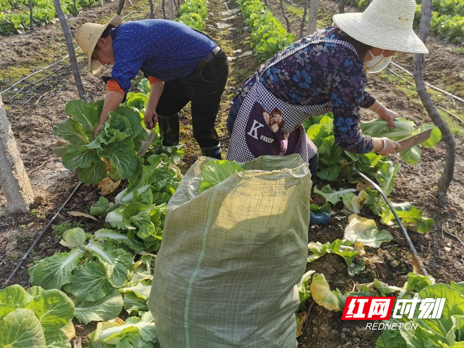 ????_20200215182309?.jpg ????_20200215182309?.jpg