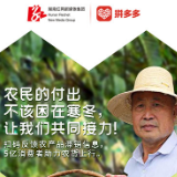全网征集农产品滞销信息 拼多多协助农户对接5亿消费者