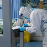 河南新增新冠肺炎确诊病例19例，新增出院病例42例