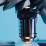 山东新增新冠肺炎确诊病例5例，累计确诊537例