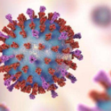 国家卫健委：15日新增确诊病例2009例