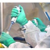 在大战中践行初心使命 在大考中交出合格答卷