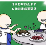 漫评 | 你中有我我中有你，共筑大爱世界