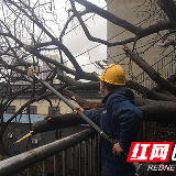 国网株洲供电公司成功应对“战风雨 抗疫情 保供电” 三重考验