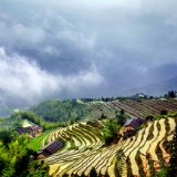 发挥党员效应打赢疫情防控战 中国人寿炎陵支公司与贫困户心连心