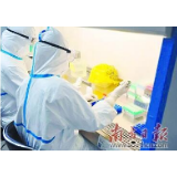 病毒侦探：与“看不见的敌人”较量