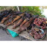 以法治重拳，叫停“舌尖上的野味”