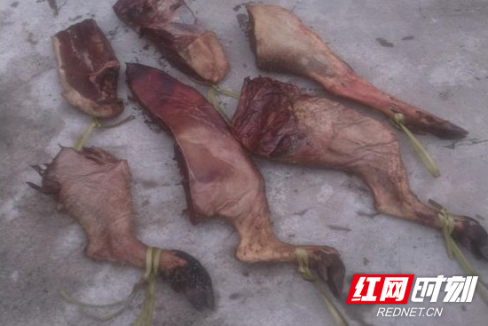 微信图片_20200216094956.jpg
